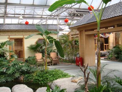 專業設計 施工各種鋼結構智能溫室、鋼結構室內園林景觀生態園工程、網架花卉溫室工程