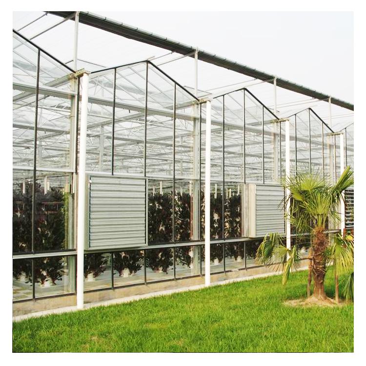 陽板溫室建設觀光生態園溫室建造玻璃智能溫室建設安陽鑫海溫室建造最專業圖片_高清圖_細節圖