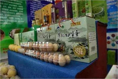 夏日果香四溢，大盛鎮生態園邀您盡享采摘之樂